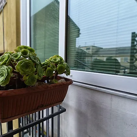 Apartamento Gaia